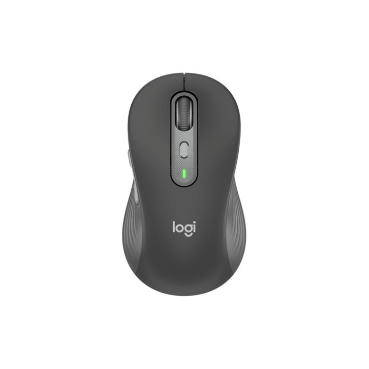 Logitech Signature M750 - Mouse - ottica - 6 pulsanti - senza fili - 2.4 GHz, Bl