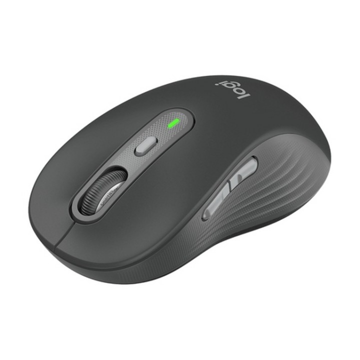 Logitech Signature M750 - Mouse - ottica - 6 pulsanti - senza fili - 2.4 GHz, Bl