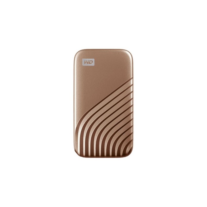 WD My Passport SSD WDBAGF0010BGD - SSD - crittografato - 1 TB - esterno (portati (WDBAGF0010BGD-WESN) - SANDISK