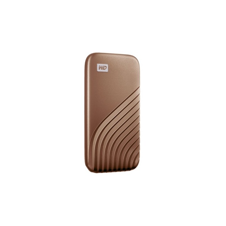 WD My Passport SSD WDBAGF0010BGD - SSD - crittografato - 1 TB - esterno (portati (WDBAGF0010BGD-WESN) - SANDISK