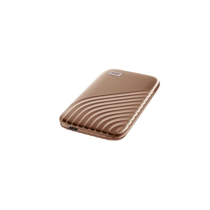 WD My Passport SSD WDBAGF0010BGD - SSD - crittografato - 1 TB - esterno (portati (WDBAGF0010BGD-WESN) - SANDISK