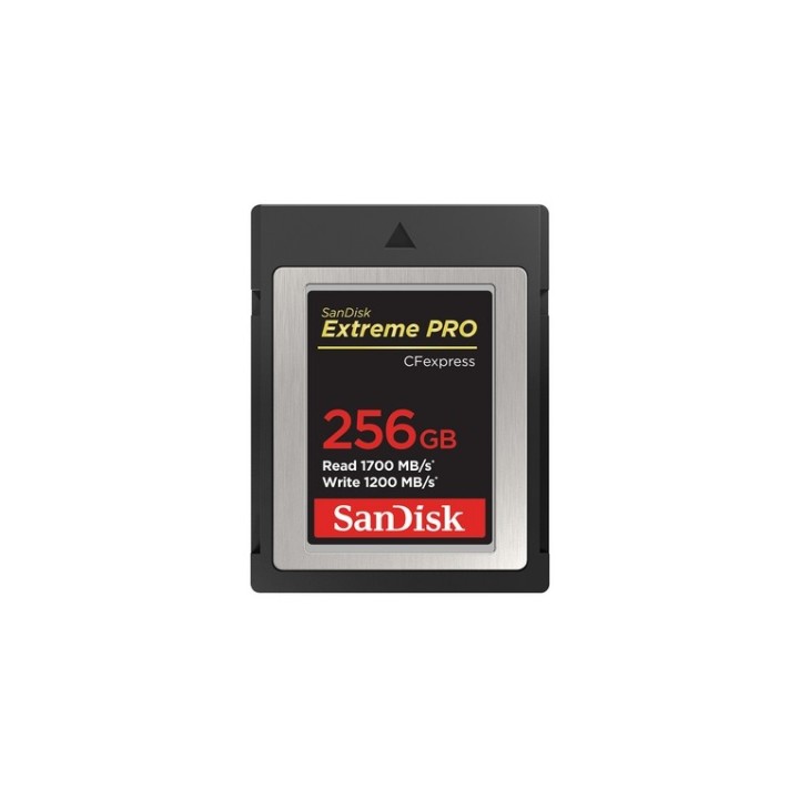 SanDisk Extreme Pro - Scheda di memoria flash - 256 GB - CFexpress (SDCFE-256G-GN4NN)