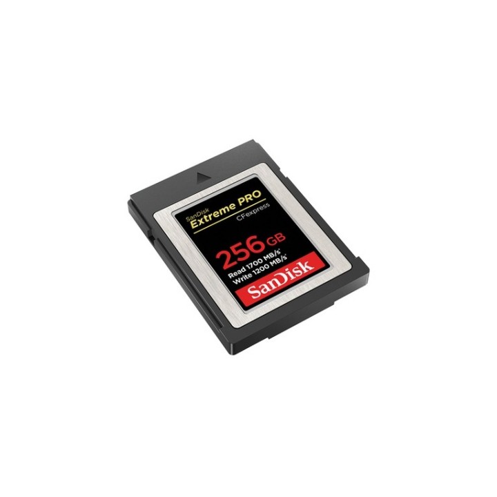 SanDisk Extreme Pro - Scheda di memoria flash - 256 GB - CFexpress (SDCFE-256G-GN4NN)