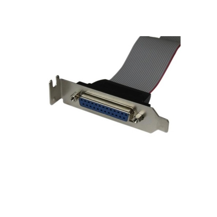 StarTech.com Cavo adattatore per porta parallela 40 cm a basso profilo con staff