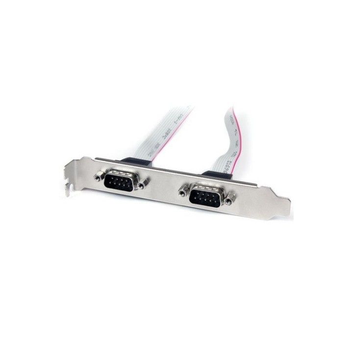 StarTech.com Staffa per porta COM serie seriale 2 porte per la connessione alla (PLATE9M2P16)