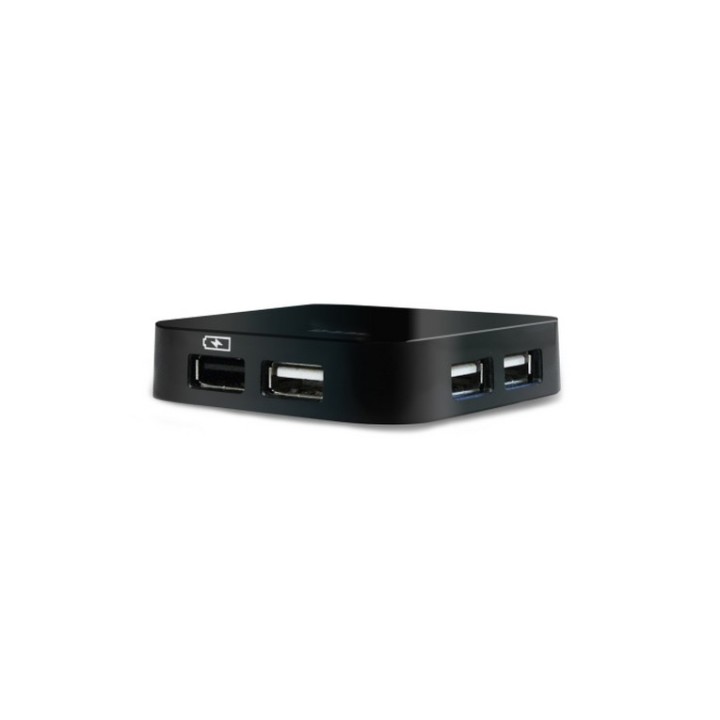 D-Link DUB H4 - Hub - 4 x USB 2.0 - desktop