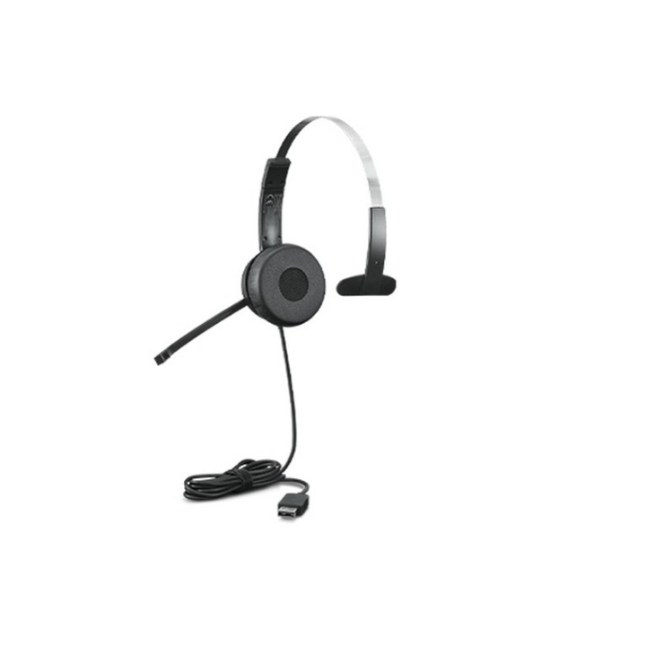 Lenovo 100 - Cuffie con microfono - over ear - cablato - USB-A - nero (4XD1B61617)