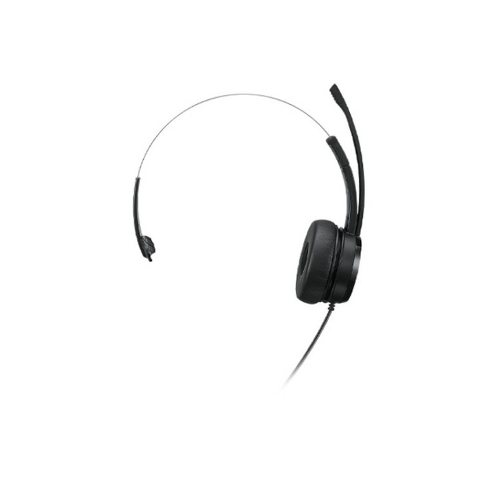 Lenovo 100 - Cuffie con microfono - over ear - cablato - USB-A - nero (4XD1B61617)