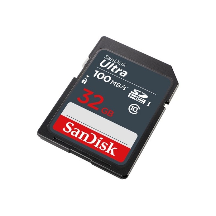 SanDisk Ultra - Scheda di memoria flash - 32 GB - UHS Class 1 / Class10 - UHS-I (SDSDUNR-032G-GN3IN)