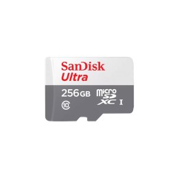SanDisk Ultra - Scheda di memoria flash - 256 GB - Class 10 - UHS-I microSDXC (SDSQUNR-256G-GN3MN)