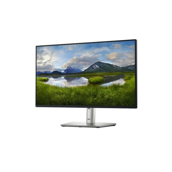 Dell P2425H - Monitor a LED - 24" - 1920 x 1080 Full HD (1080p) @ 100 Hz - IPS - (DELL-P2425H)