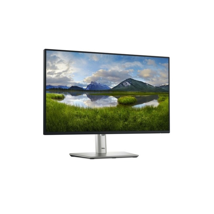 Dell P2425H - Monitor a LED - 24" - 1920 x 1080 Full HD (1080p) @ 100 Hz - IPS -