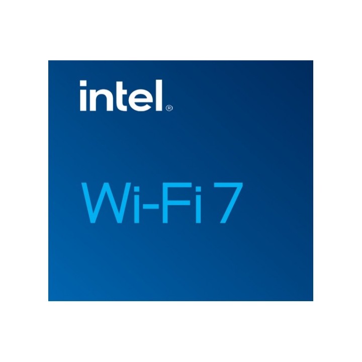 Intel Wi-Fi 7 BE202 - Adattatore di rete - M.2 2230 - Wi-Fi 6E, Bluetooth, Wi-Fi (BE202.NGWG.NV)