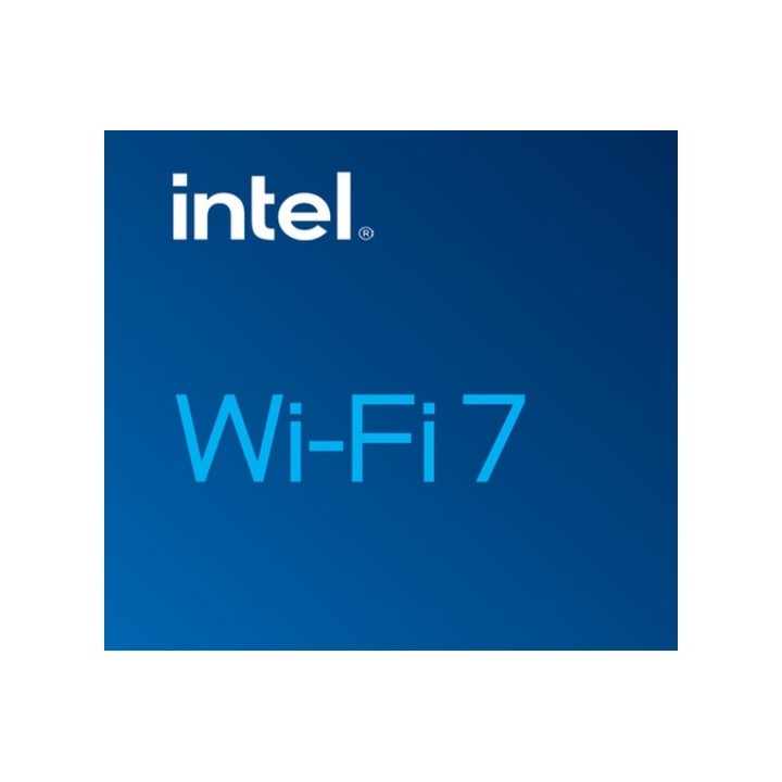 Intel Wi-Fi 7 BE202 - Adattatore di rete - M.2 2230 - Wi-Fi 6E, Bluetooth, Wi-Fi (BE202.NGWG.NV)