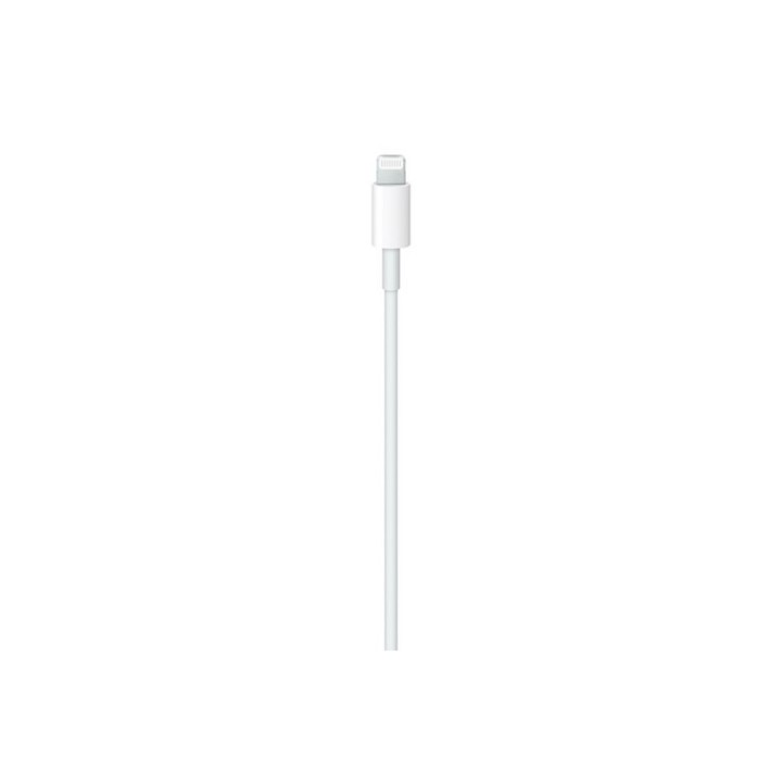 Apple - Cavo Lightning - USB-C maschio a Lightning maschio - 2 m