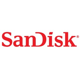 SanDisk Ultra Luxe - Chiavetta USB - 1 TB - USB-C 3.2 Gen 1