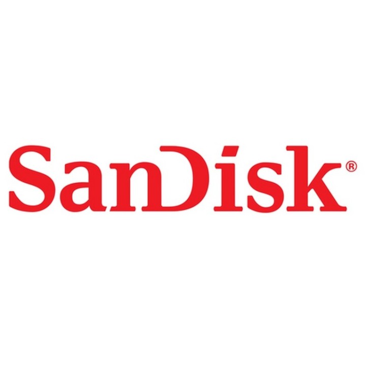 SanDisk Ultra Luxe - Chiavetta USB - 1 TB - USB-C 3.2 Gen 1 (SDCZ75-1T00-G46)