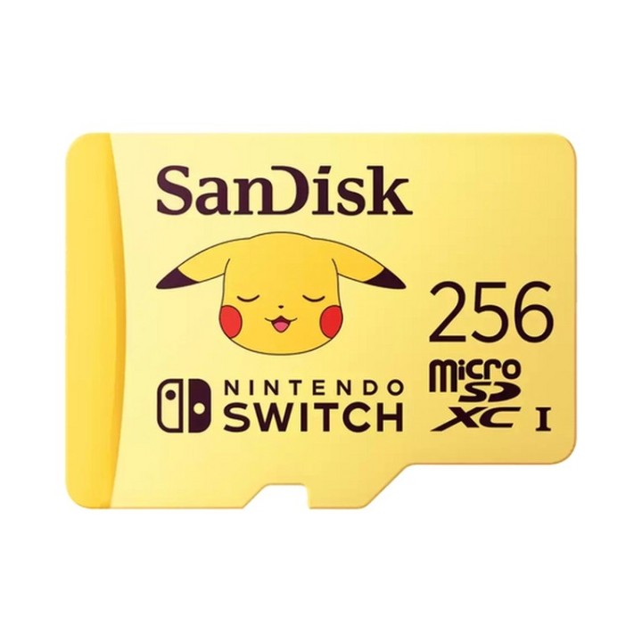 SanDisk - Scheda di memoria flash - 256 GB - Video Class V30 / UHS-I U3 - UHS-I (SDSQXAO-256G-GN6ZK)