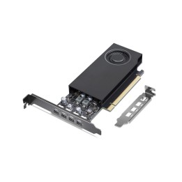 NVIDIA RTX - Scheda grafica - RTX A1000 - 8 GB GDDR6 - PCIe 4.0 x8 - 4 x Mini Di
