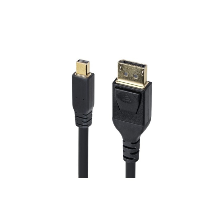 StarTech Mini DP to DisplayPort 1.4 Cable 8K 60Hz HBR3 4K - Cavo DisplayPort - M