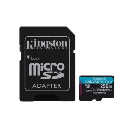 Kingston Canvas Go! Plus - Scheda di memoria flash (adattatore da microSDXC a SD (SDCG4/256GB)