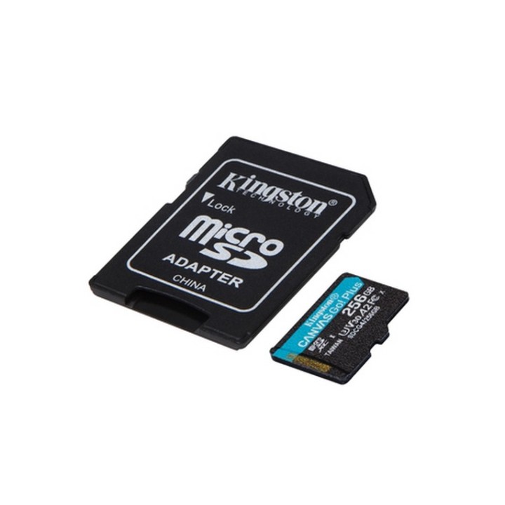 Kingston Canvas Go! Plus - Scheda di memoria flash (adattatore da microSDXC a SD (SDCG4/256GB)