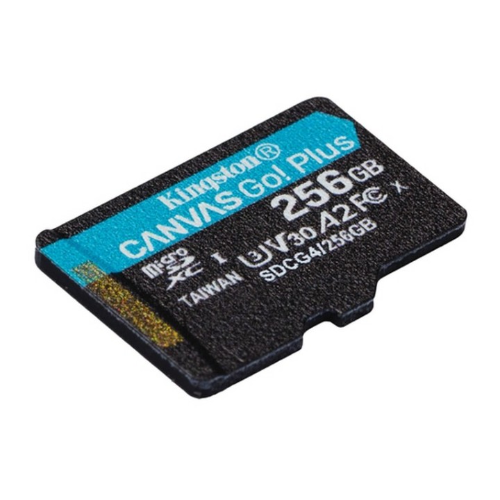 Kingston Canvas Go! Plus - Scheda di memoria flash (adattatore da microSDXC a SD (SDCG4/256GB)