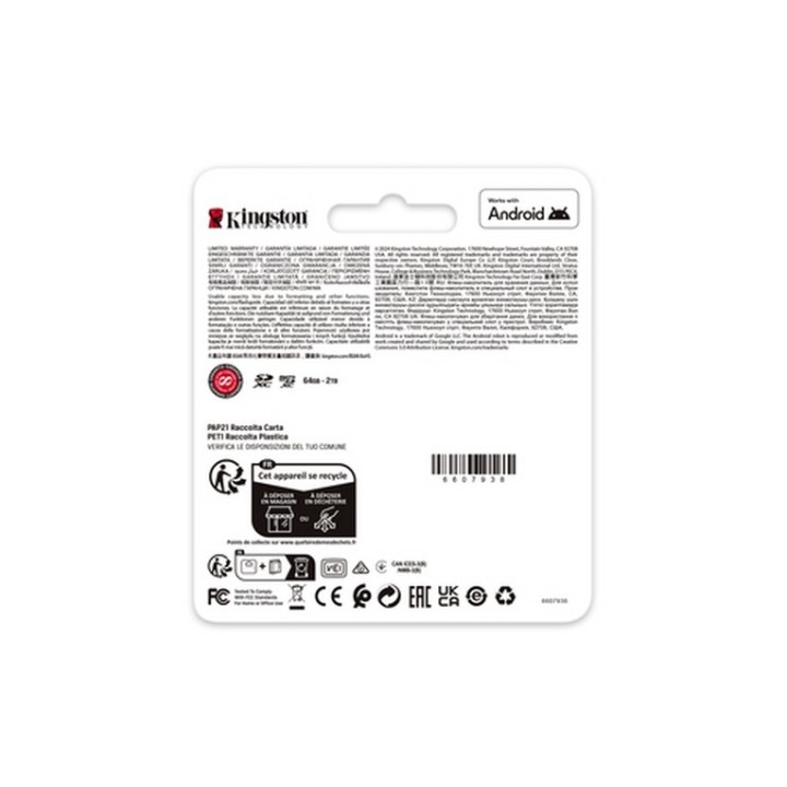 Kingston Canvas Go! Plus - Scheda di memoria flash - 128 GB - Video Class V30 / (SDG4/128GB)