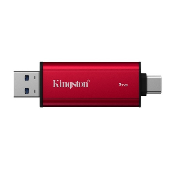 Kingston Dual - SSD - 1 TB - esterno (portatile) - USB 3.2 Gen 2