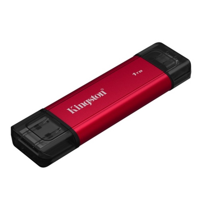 Kingston Dual - SSD - 1 TB - esterno (portatile) - USB 3.2 Gen 2