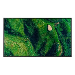 Sony Bravia Professional Displays FW-55BZ35P - 55" Categoria diagonale BZ35P Ser