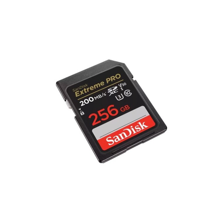 SanDisk Extreme PRO - Scheda di memoria flash - 256 GB - Video Class V30 / UHS-I (SDSDXXD-256G-GN4IN)