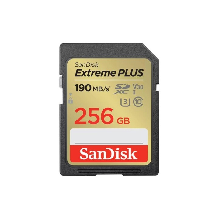 SanDisk Extreme PLUS - Scheda di memoria flash - 256 GB (SDSDXWV-256G-GNCIN)