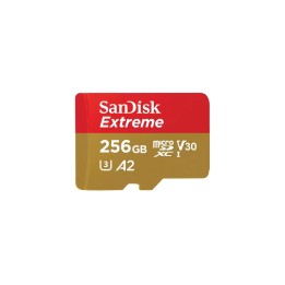 SanDisk Extreme - Scheda di memoria flash - 256 GB - A2 / Video Class V30 / UHS-