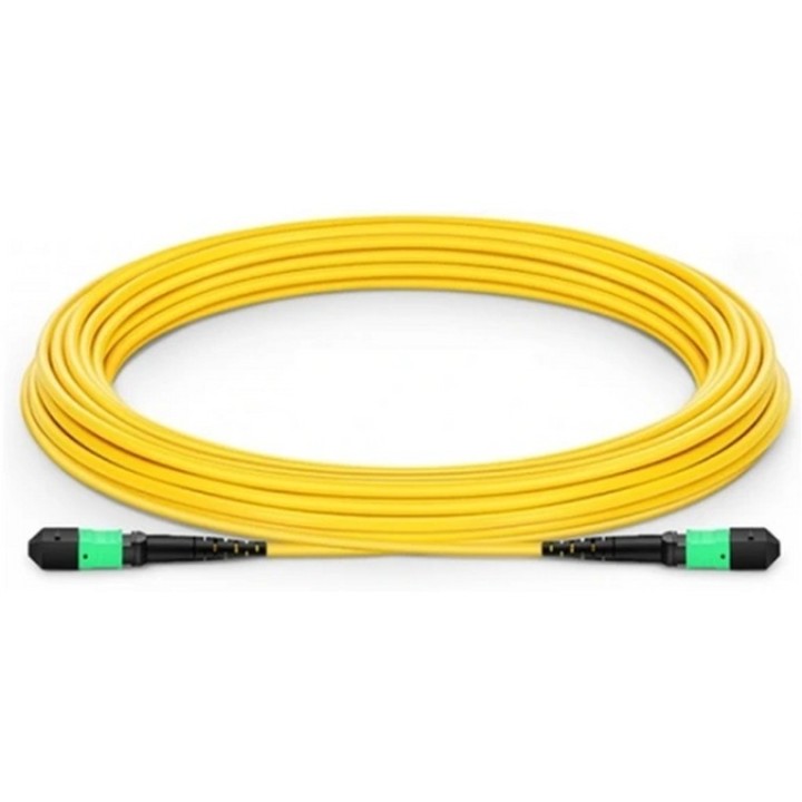 SingleMode passive fiber cbl MPO12 MPO12