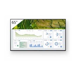 Sony Bravia Professional Displays FW-65BZ30L - 65" Categoria diagonale BZ30L Ser