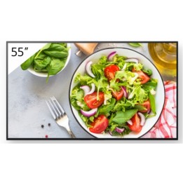 Sony Bravia Professional Displays FW-55BZ35L - 55" Categoria diagonale BZ35L Ser (FW-55BZ35L)