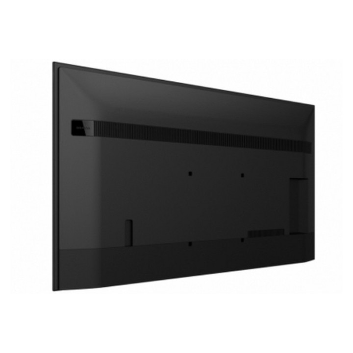 Sony Bravia Professional Displays FW-55BZ35L - 55" Categoria diagonale BZ35L Ser (FW-55BZ35L)