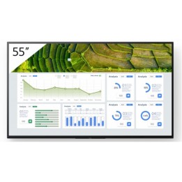 Sony Bravia Professional Displays FW-55BZ30L - 55" Categoria diagonale BZ30L Ser