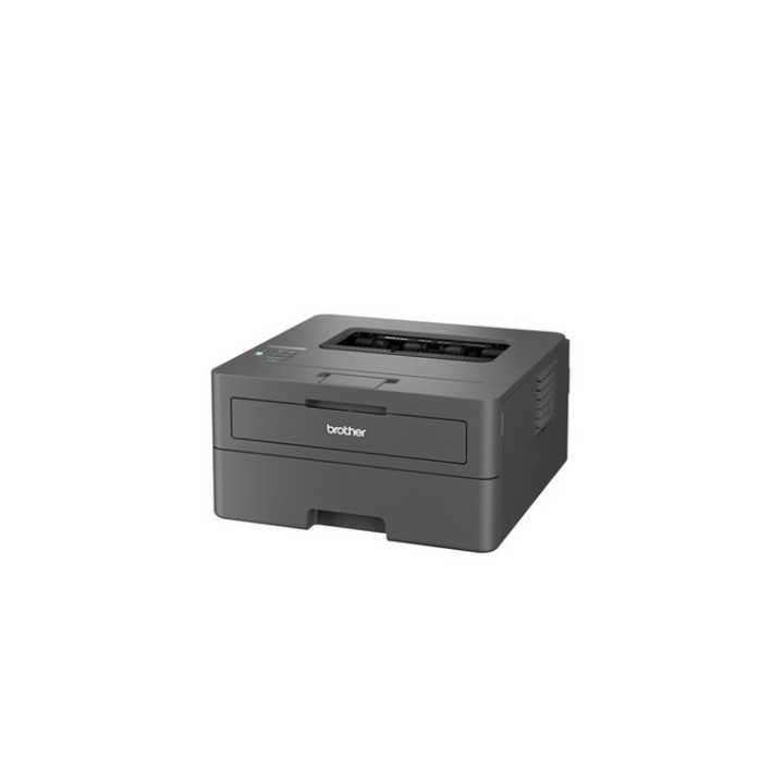 Brother HL-L2445DW - Stampante - B/N - Duplex - laser - A4/Legal - 1200 x 1200 d (HLL2445DWRE1)