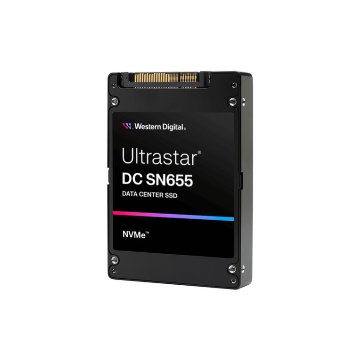 WD Ultrastar DC SN655 WUS5EA138ESP7E1 - SSD - 3.84 TB - interno - 2.5" - U.3 PCI (0TS2458) - SANDISK