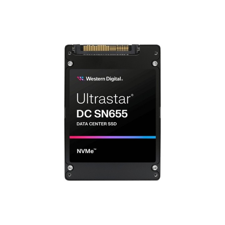 WD Ultrastar DC SN655 WUS5EA138ESP7E1 - SSD - 3.84 TB - interno - 2.5" - U.3 PCI (0TS2458) - SANDISK