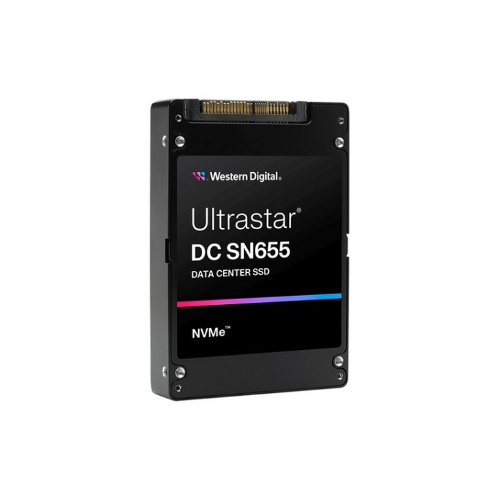 WD Ultrastar DC SN655 WUS5EA138ESP7E1 - SSD - 3.84 TB - interno - 2.5" - U.3 PCI (0TS2458) - SANDISK