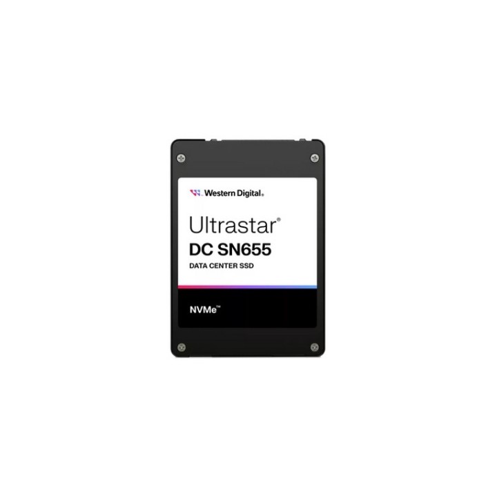 WD Ultrastar DC SN655 WUS5EA138ESP7E3 - SSD - 3.84 TB - interno - 2.5" - U.3 PCI (0TS2461) - SANDISK