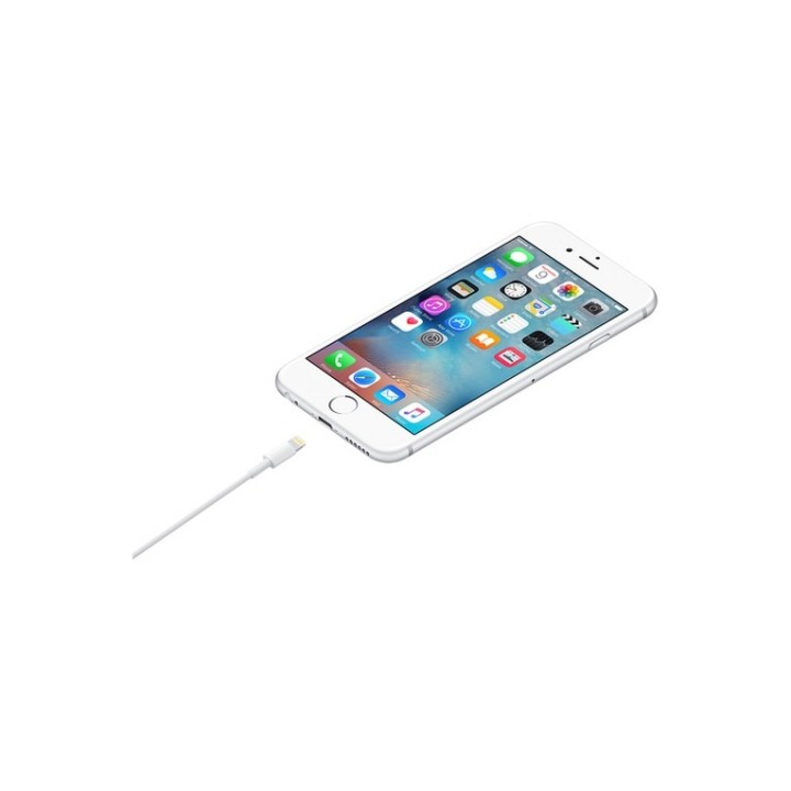 Apple - Cavo Lightning - Lightning maschio a USB maschio - 1 m (MUQW3ZM/A)