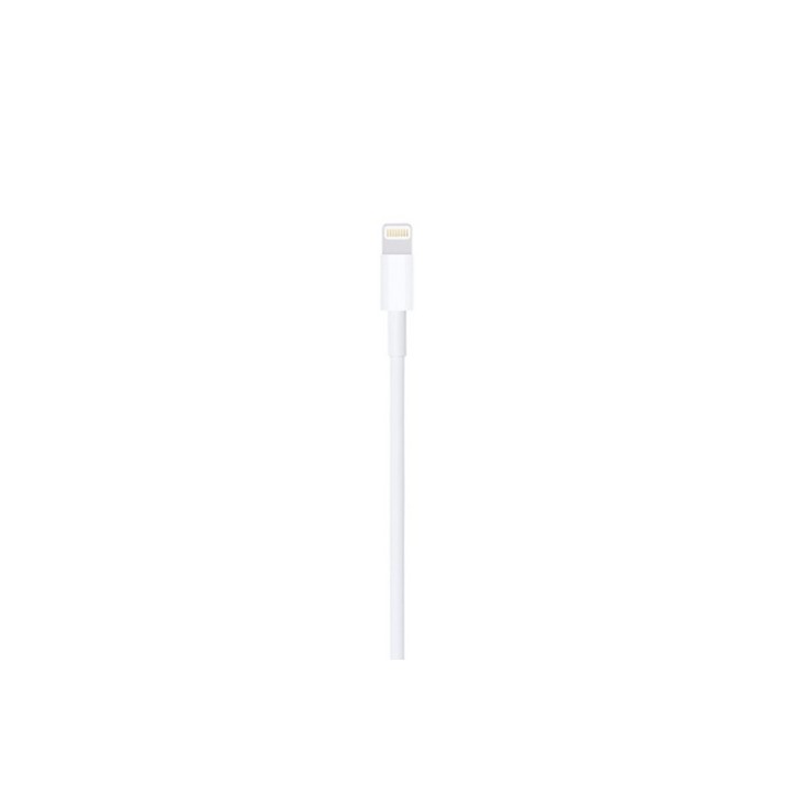 Apple - Cavo Lightning - Lightning maschio a USB maschio - 1 m (MUQW3ZM/A)