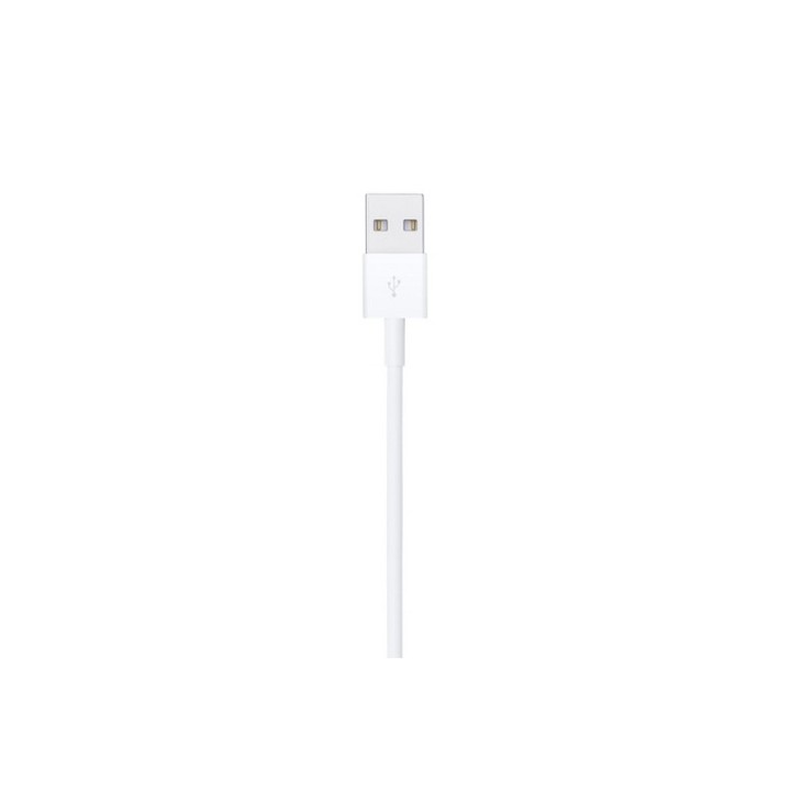 Apple - Cavo Lightning - Lightning maschio a USB maschio - 1 m (MUQW3ZM/A)