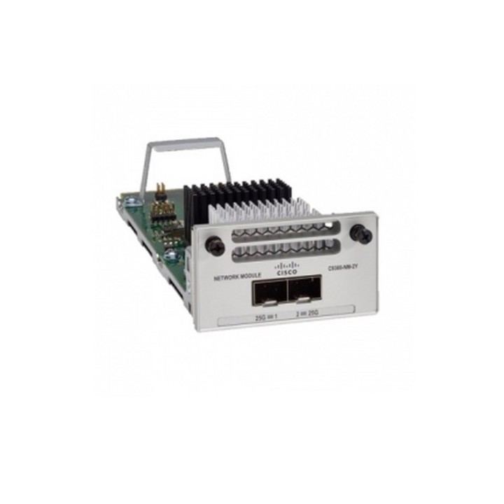 Cisco - Modulo di espansione - 25 Gigabit Ethernet x 2 - per P/N: C9300-24U-10E,