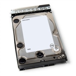 Dell - Kit Cliente - HDD - 12 TB - hot swap - 3.5" - SATA 6Gb/s - 7200 rpm - per PowerEdge C6420 (3.5")