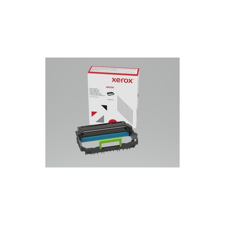 Xerox - Originale - cartuccia a tamburo - per Xerox B305, B310, B315, C315
